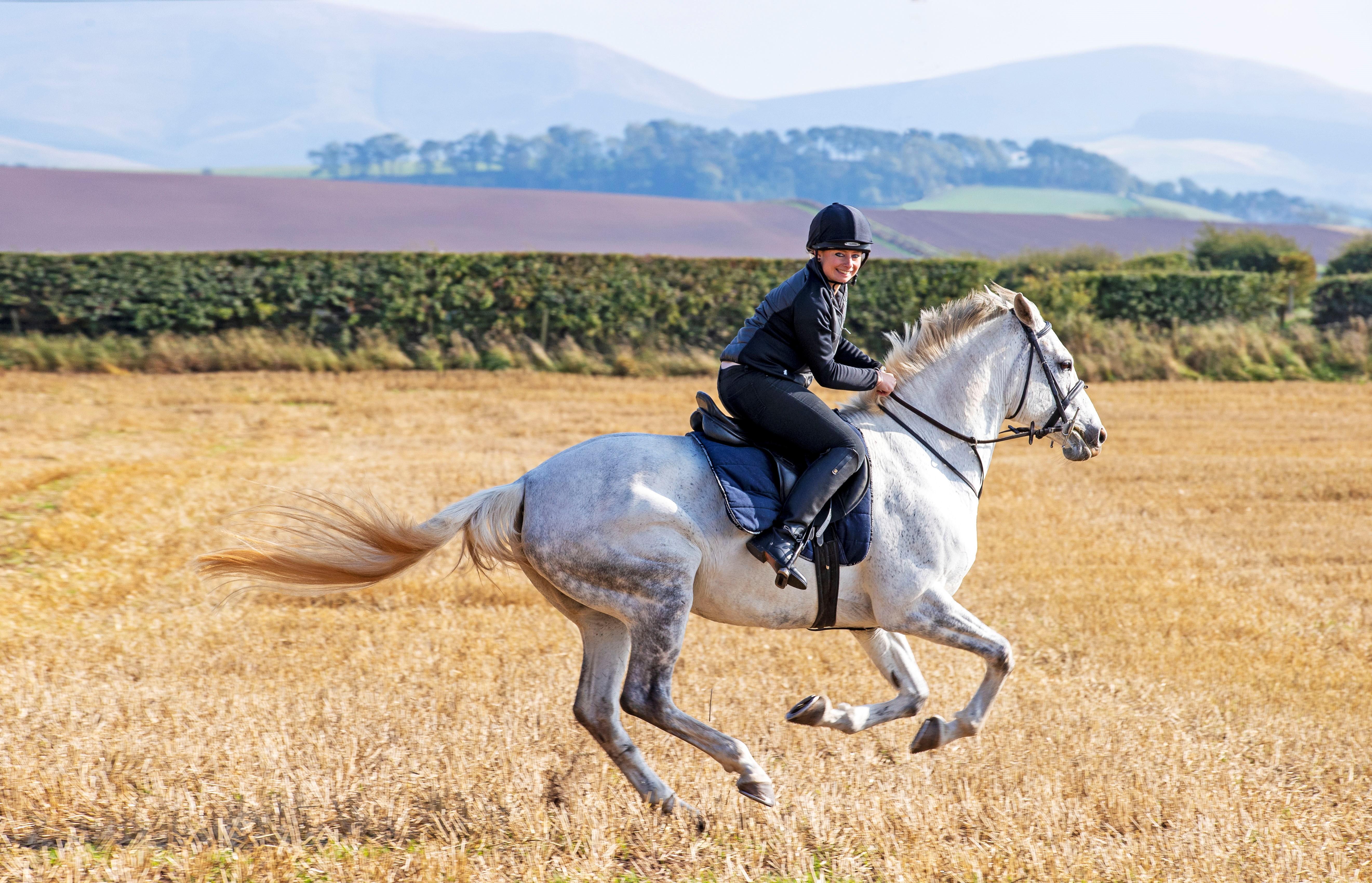 Schloss Roxburghe, Part Of Destination By Hyatt Exteriör bild A rider on a purebred Spanish horse